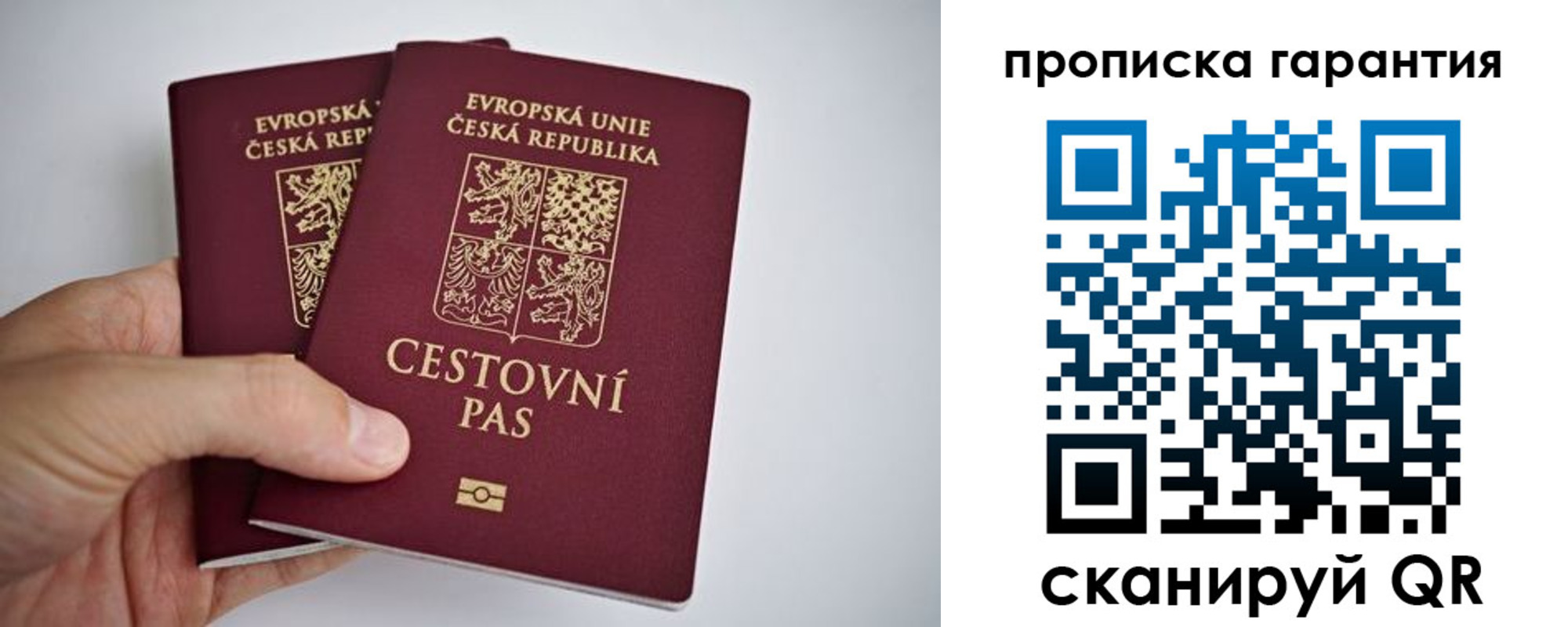 прописка в Полярных Зорях